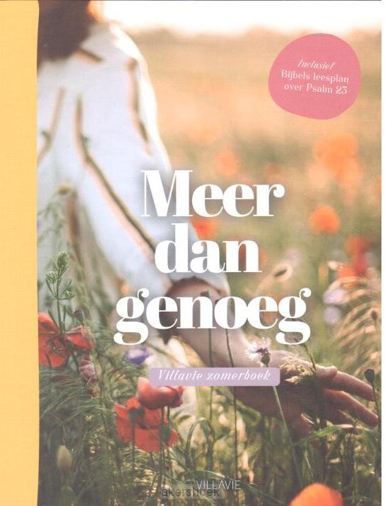 Meer dan genoeg Vilavie  zomerboek