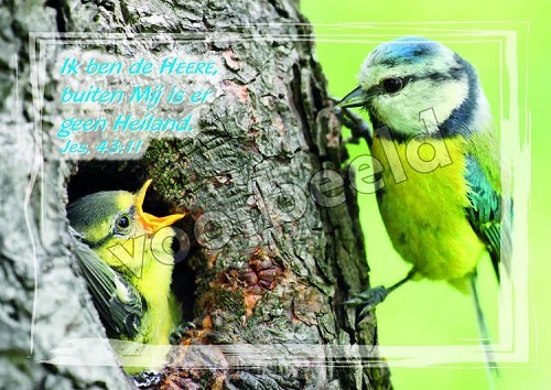 20-18 mix 10 hoogglans zonder envelop