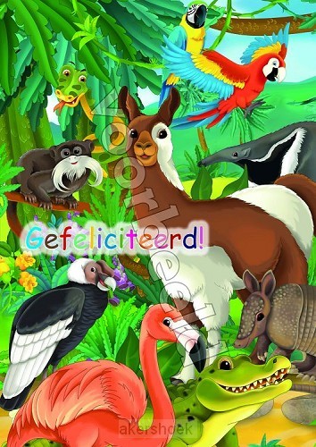 20-19 mix 10 hoogglans zonder envelop