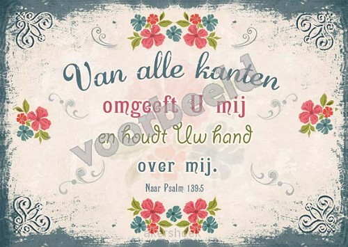 80-17 A6 vintage set5