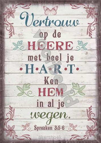 80-21 A6 vintage set5