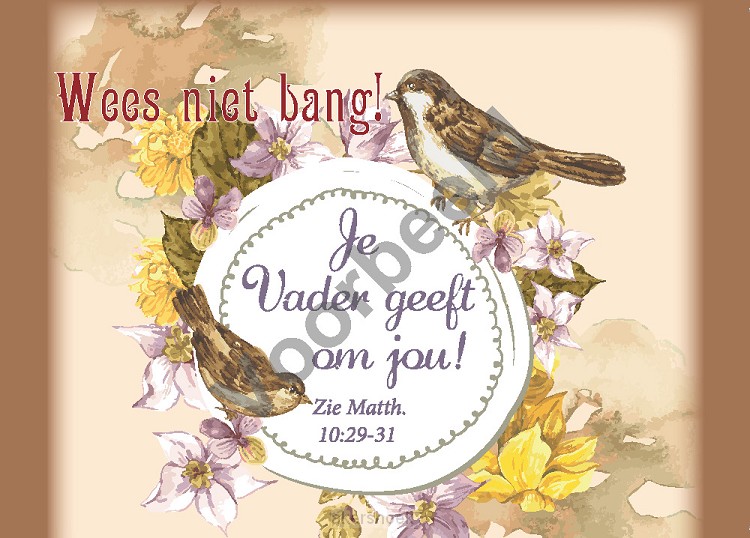 80-47 A6 vintage set5 zonder env