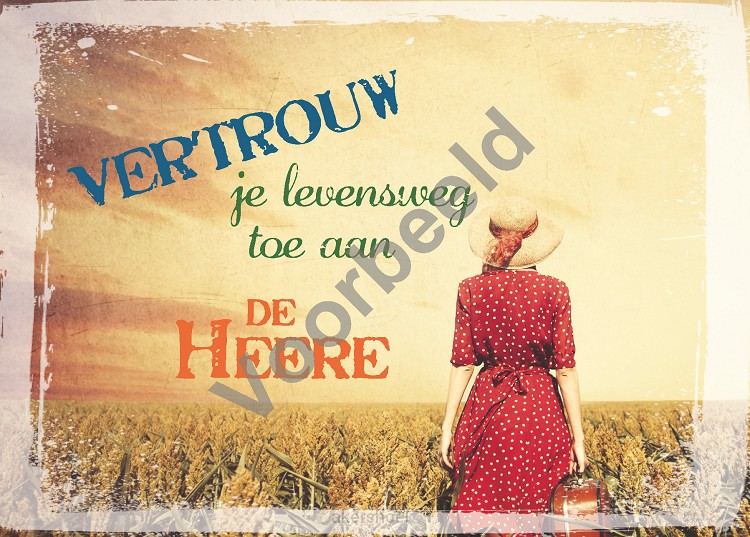 80-48 A6 vintage set5 zonder env