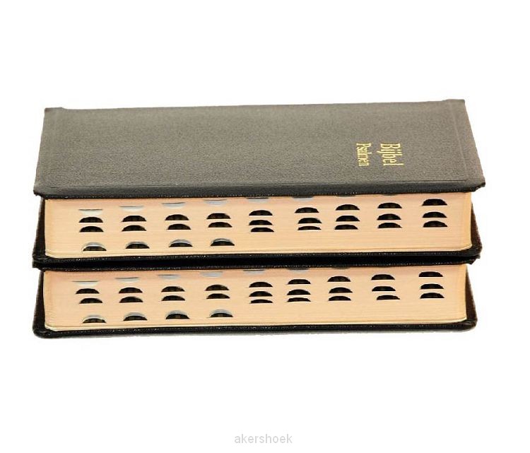 Dameszakbijbel D33R RITMISCH kunstleer