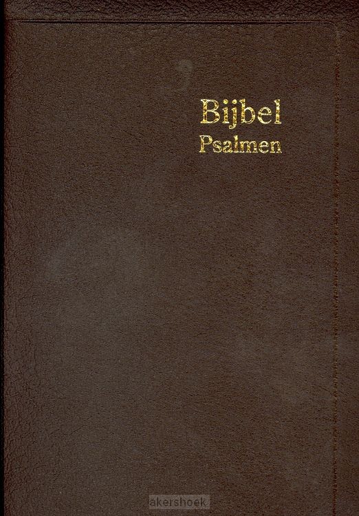 Herenzakbijbel H35R RITMISCH leer goudsn