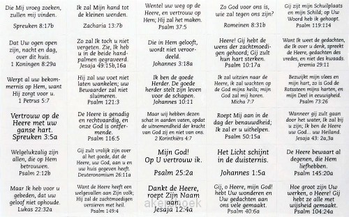 Stickervel s1 60 transp met bijbeltek SV