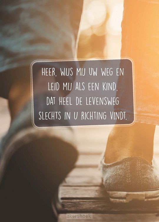 Wenskaart Heer wijs mij Uw weg