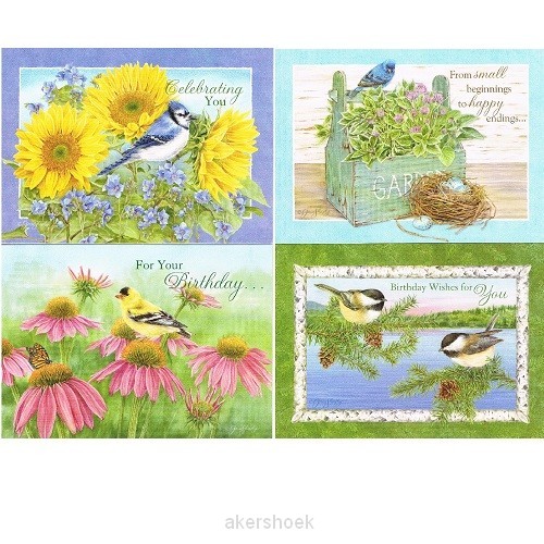 Cards birthday God''''''''s serenity set