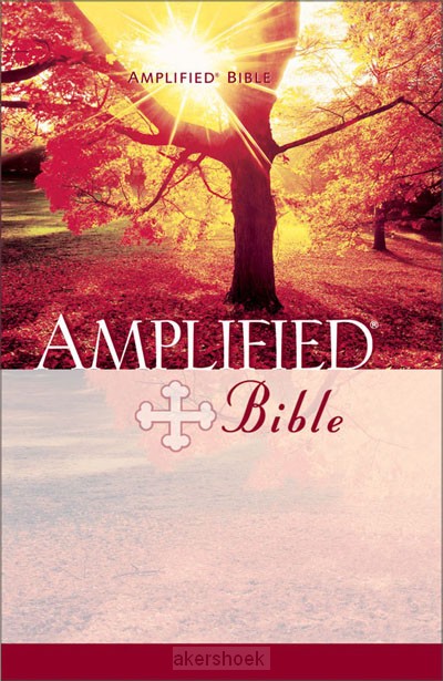 Amp amplified bible red hardback