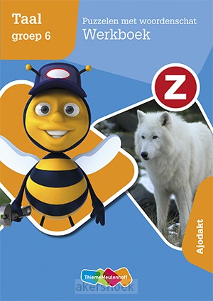 Puzzelen met woordenschat groep 6 / Z-taal / Werkboek