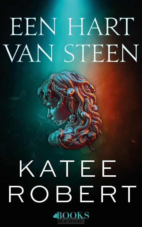 Een hart van steen