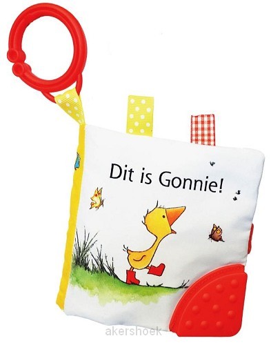 Dit is gonnie (buggyboekje)