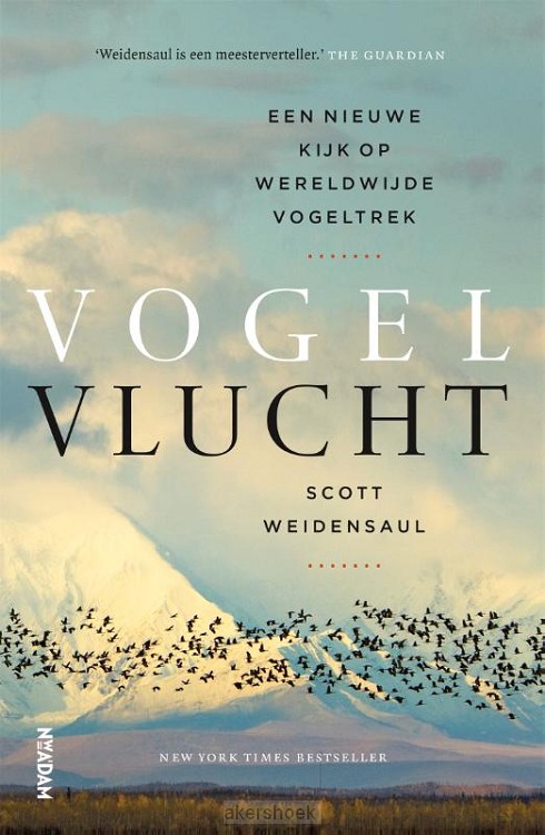 Vogelvlucht