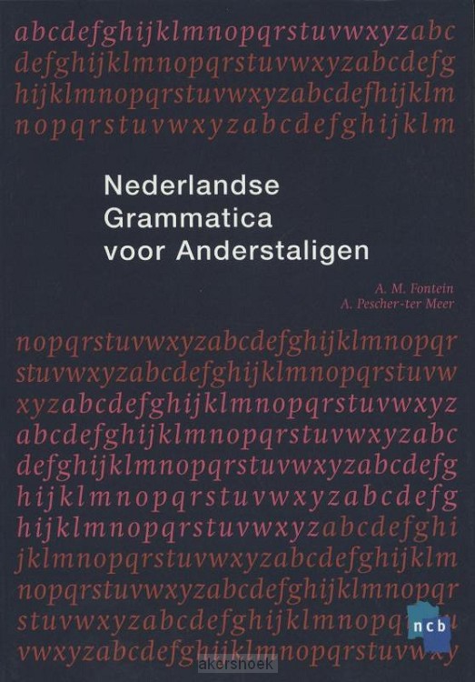 Nederlandse grammatica voor anderstaligen