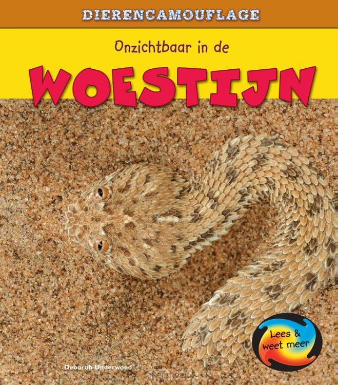 Onzichtbaar in de woestijn
