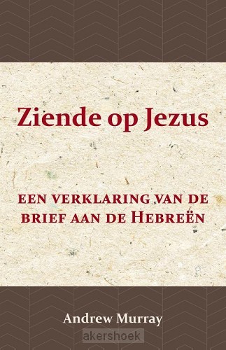 Ziende op Jezus
