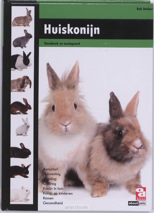 Huiskonijn