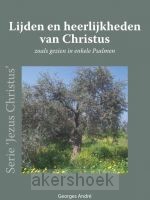 Lijden en heerlijkheden van Christus