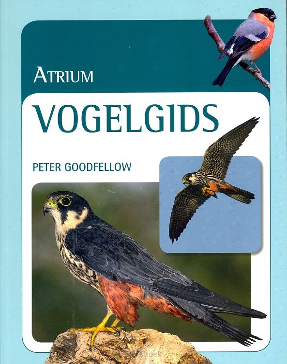 Vogelgids