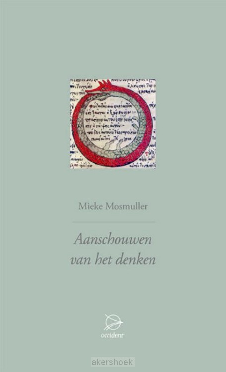 Aanschouwen van het denken