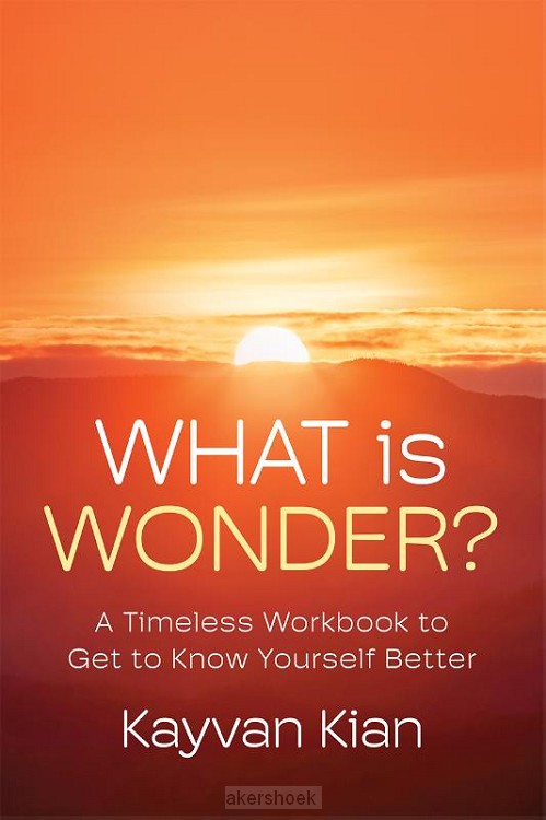 What Is Wonder?