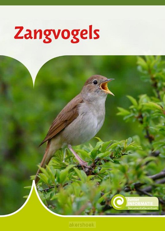 Zangvogels