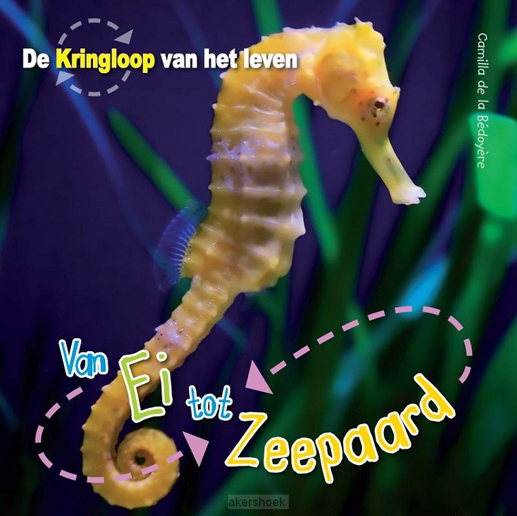 Van ei tot zeepaardje