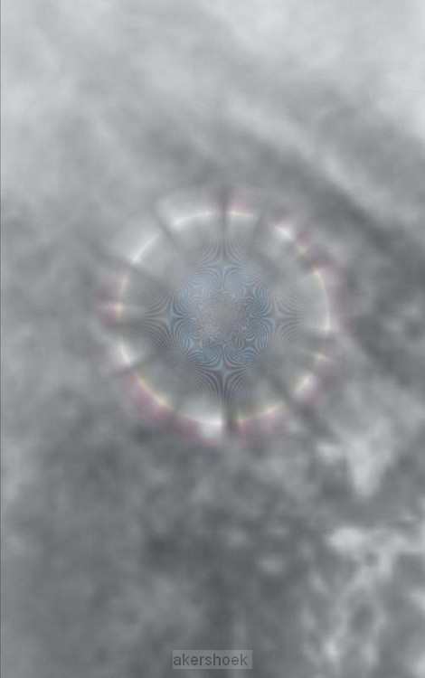 Varen met de tijdgeuzen