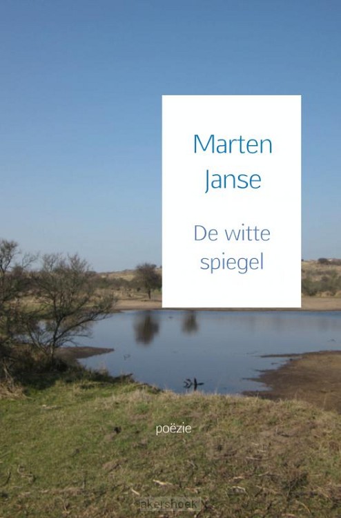 De witte spiegel
