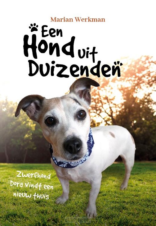 Een hond uit duizenden
