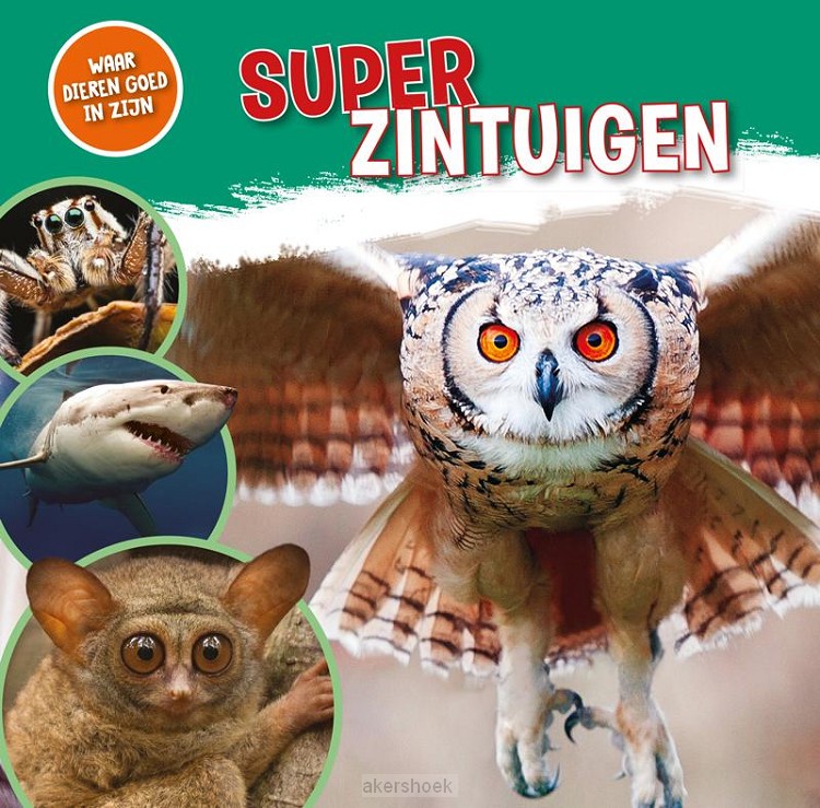 Superzintuigen