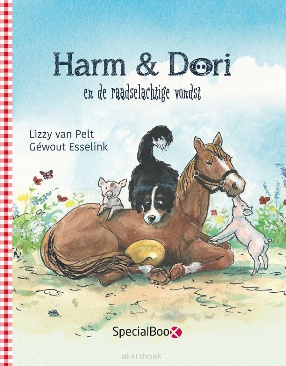 Harm & Dori en de raadselachtige vondst