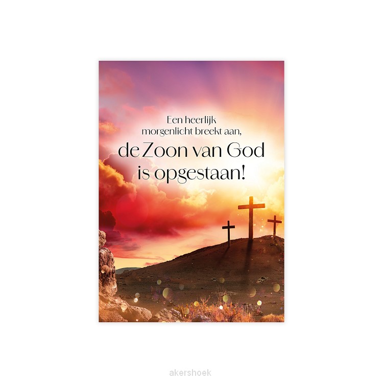 Voordeelkaart Een heerlijk morgenlicht o