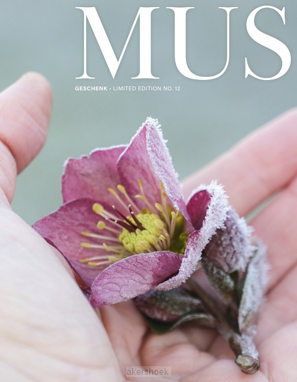 MUS winter limited edition no. 12