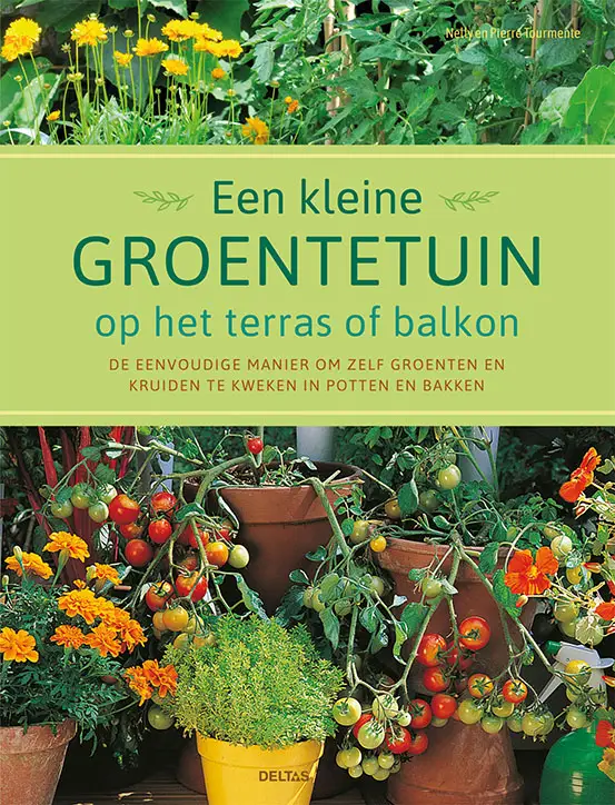 Een kleine groentetuin op het terras of