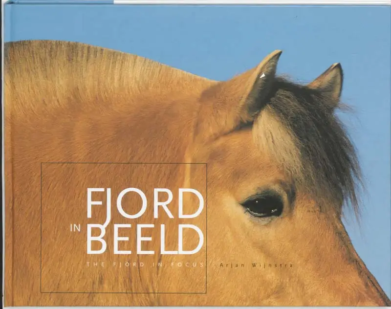 Fjord in beeld = The fjor
