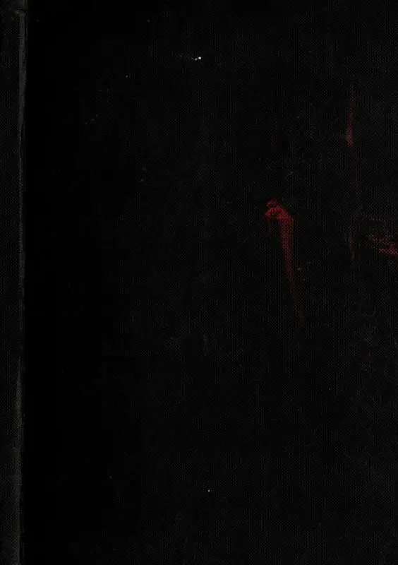 CES53, USA graffiti tour 1992.