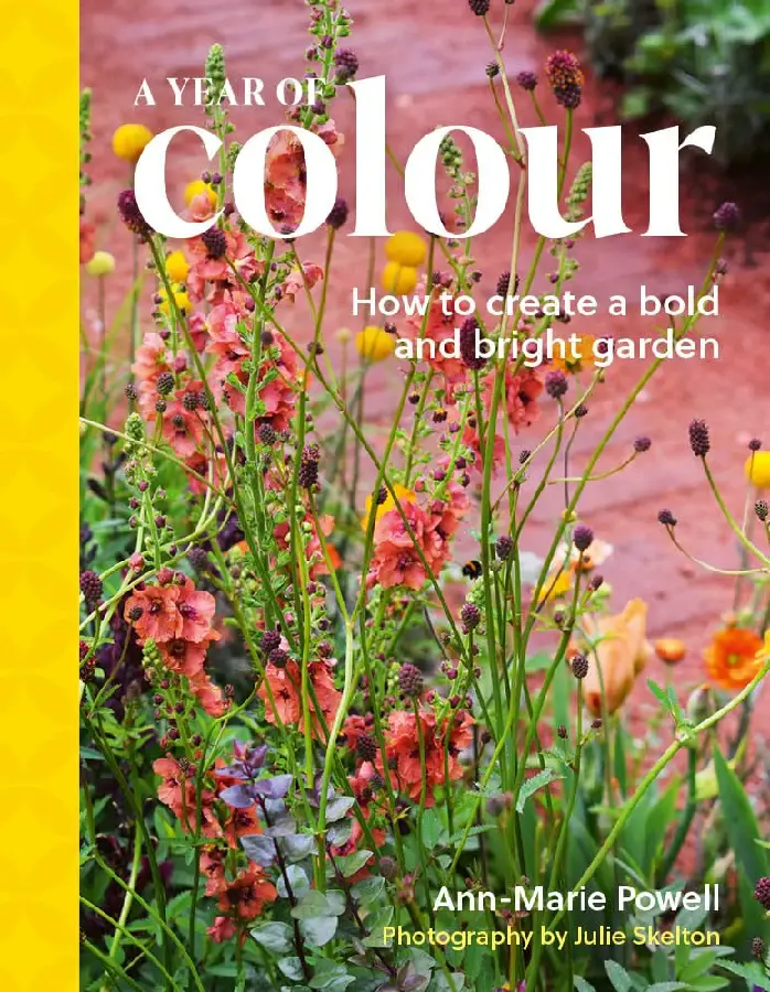 A Year of Colour