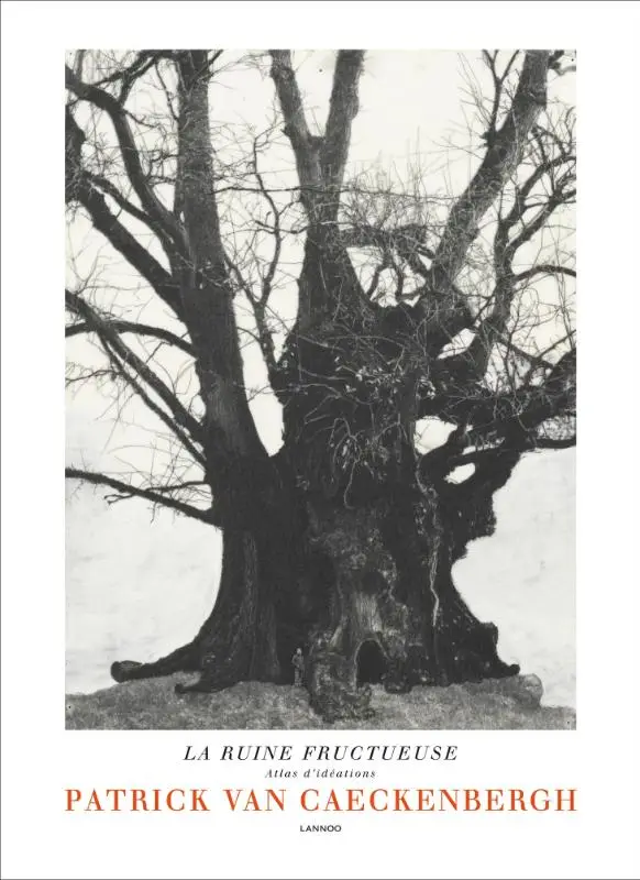 La ruine fructueuse
