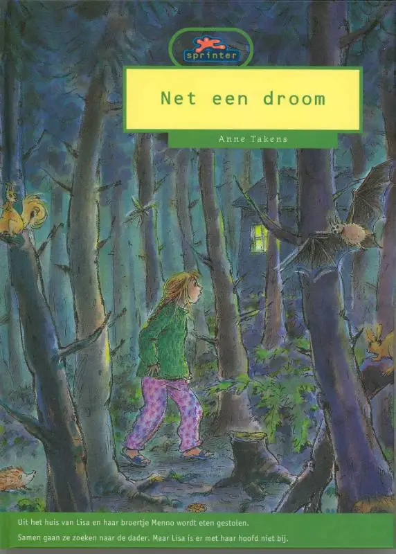 Net een droom