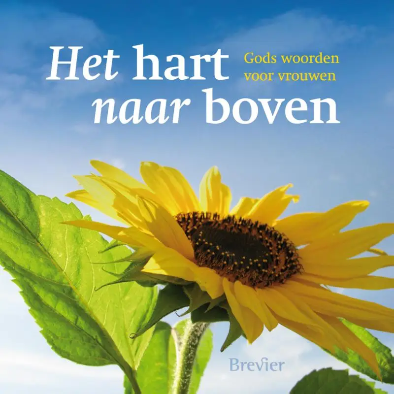 Hart naar boven