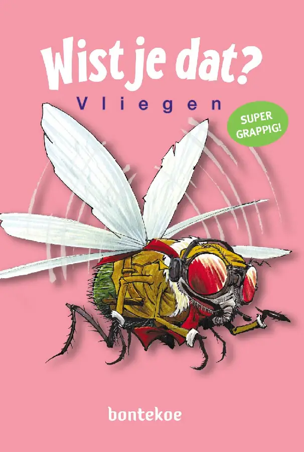 Vliegen