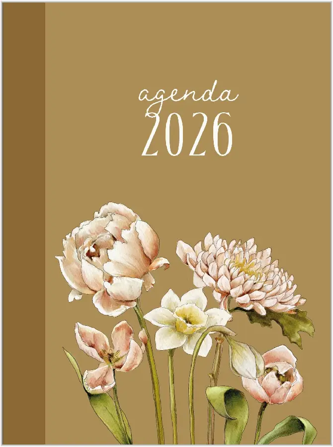 Agenda Studio Schilderachtig