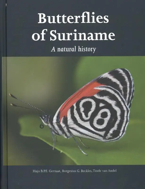 Butterflies of Suriname