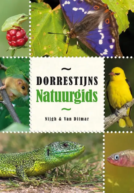 Dorrestijns natuurgids /