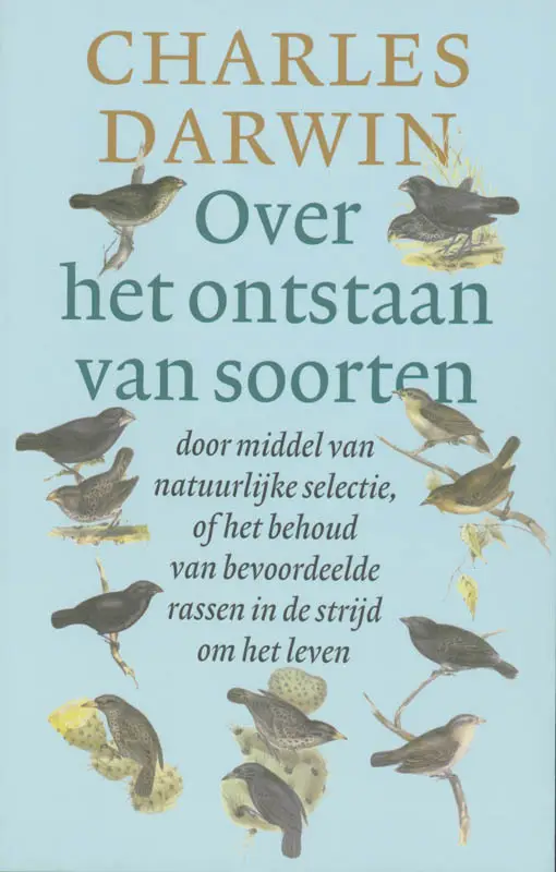 Over het ontstaan van soo