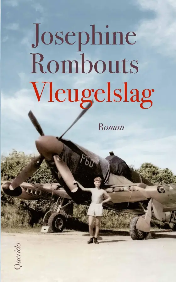 Vleugelslag