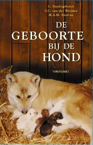 De geboorte bij de hond e