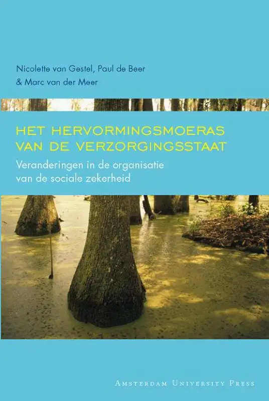 Het hervormingsmoeras van