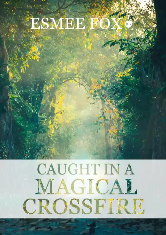 Caught in a magical crossfire
